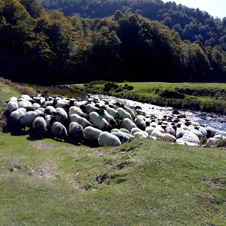 Dom wakacyjny Etxe Xuri