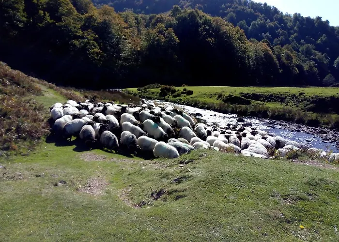 Сasa de vacaciones Etxe Xuri