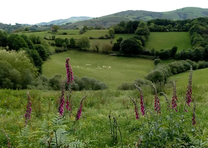 Сasa de vacaciones Etxe Xuri *