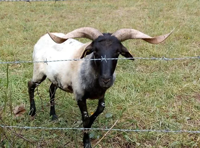 Сasa de vacaciones Etxe Xuri